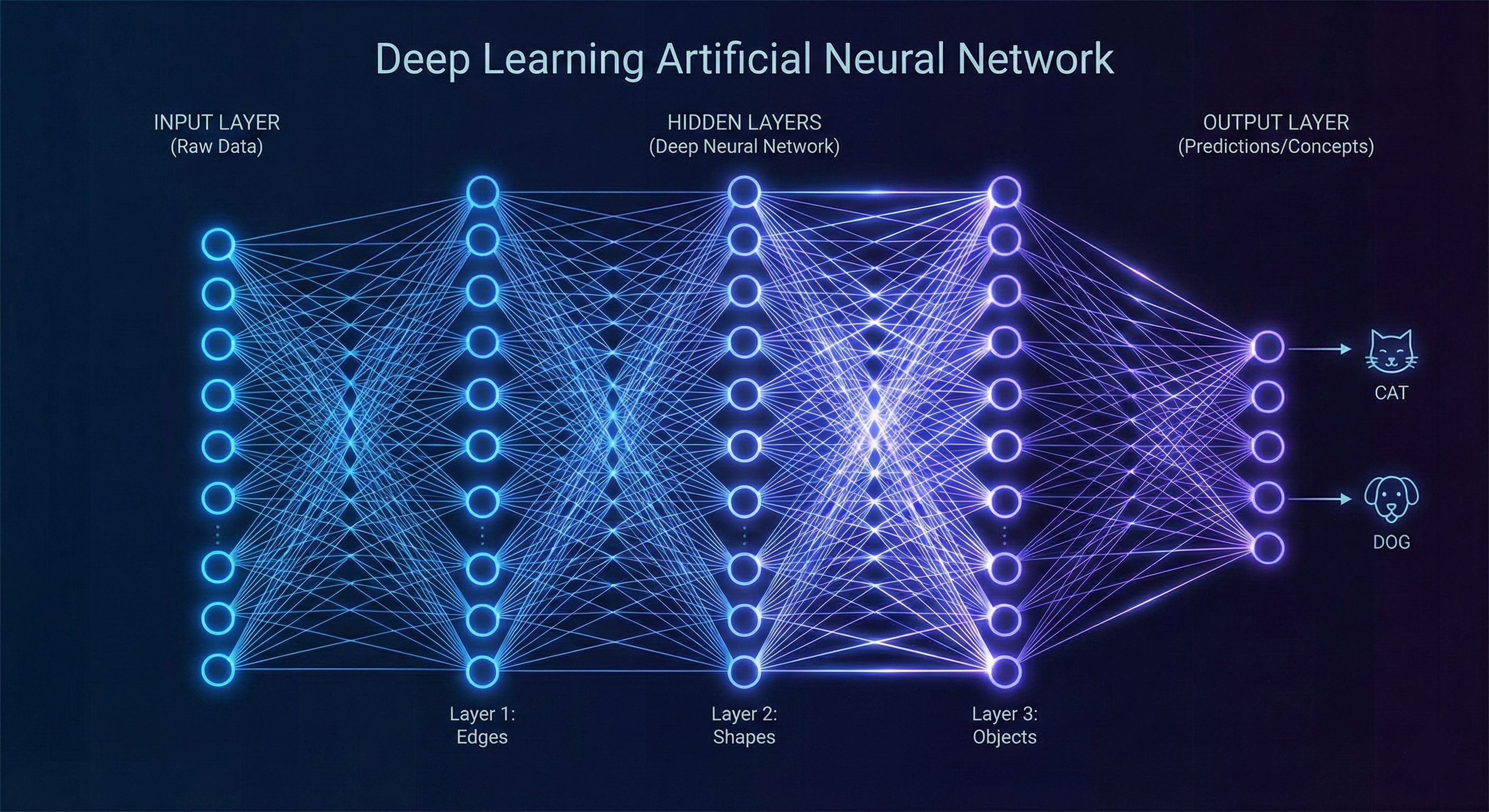 Deep learning neural network diagram