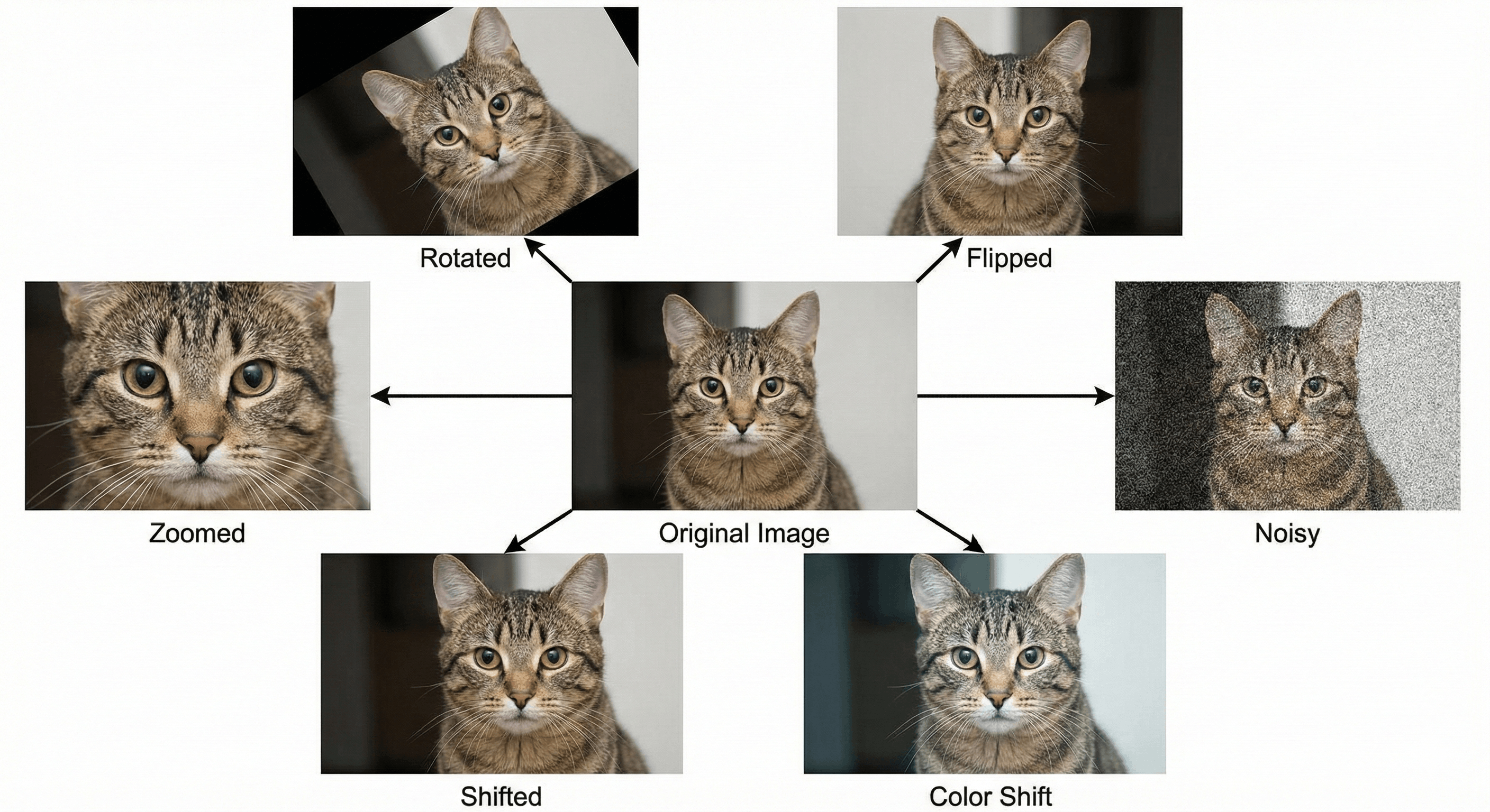Data Augmentation Grid